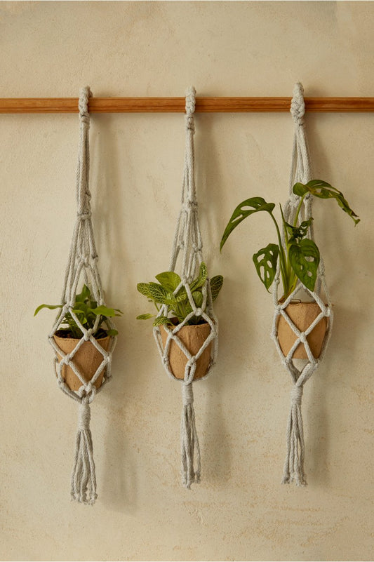 DMC Macramé plant hanger Kit - The exhale