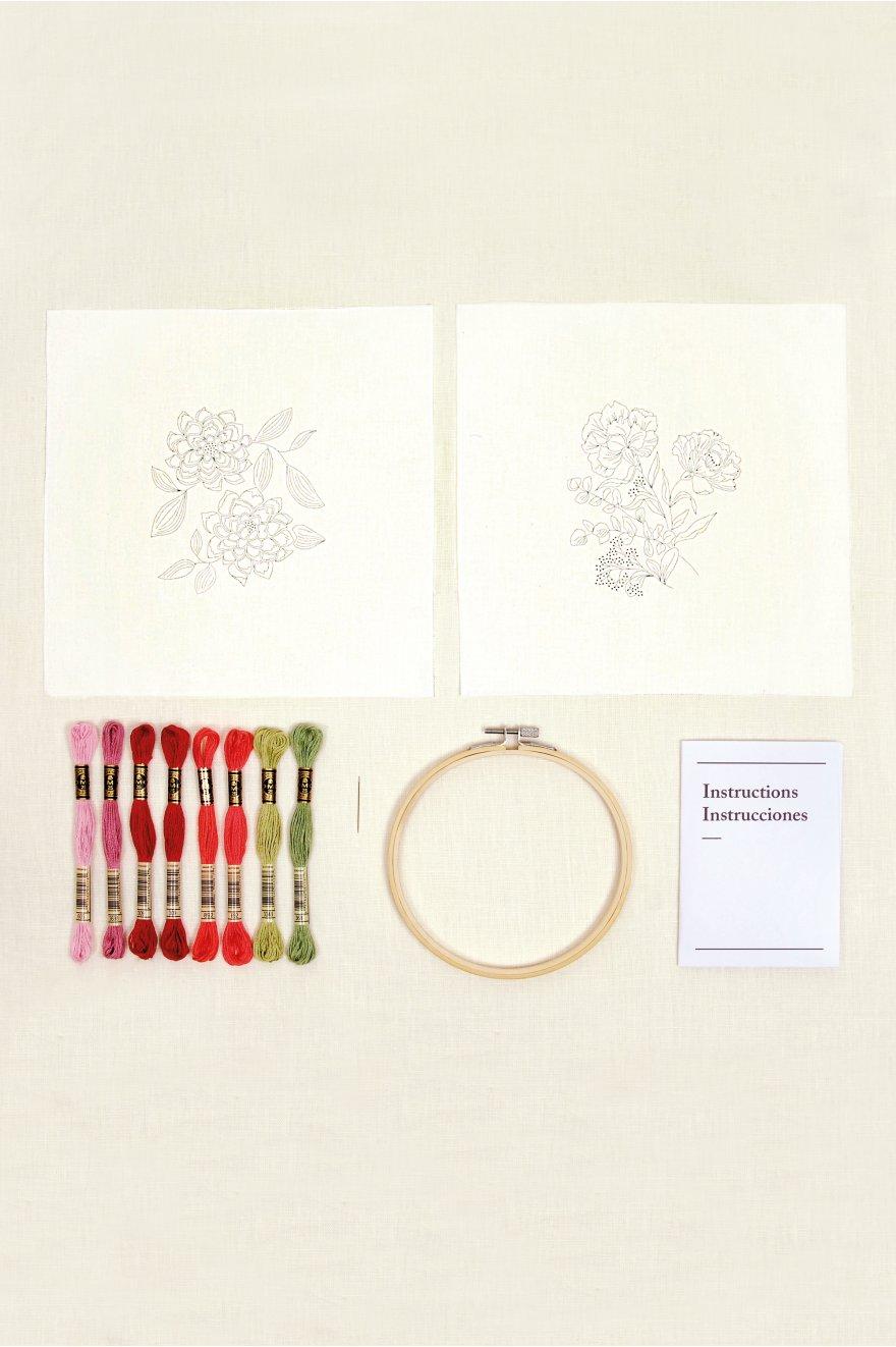 DMC embroidery kit - The poetic carnations